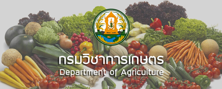 กรมวิชาการเกษตร เปิดรับสมัครพนักงานราชการ ป.ตรี  / เงินเดือน 21780 / ไม่ต้องผ่าน ภาค ก / ตั้งแต่ online 27 กรกฎาคม – 5 สิงหาคม 2569