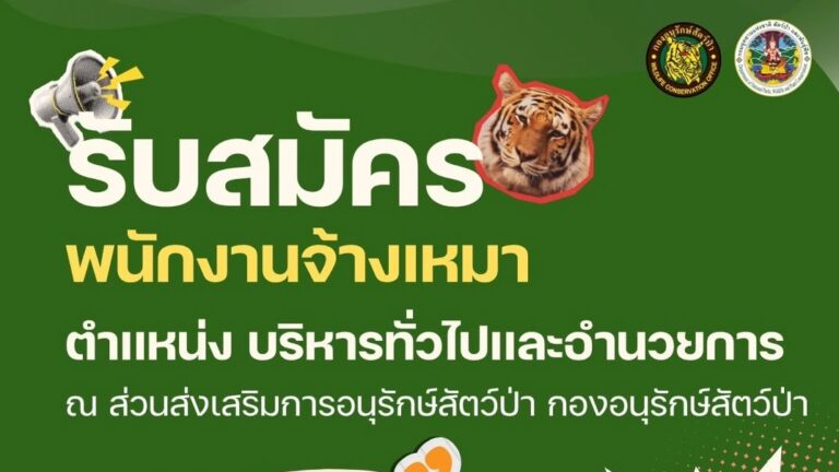 กรมอุทยานแห่งชาติ สัตว์ป่า และพันธุ์พืช เปิดรับสมัครงาน / ปริญญาตรี ทุกสาขา / ไม่ต้องผ่าน ภาค ก ของ กพ. / สมัคร ถึง 30 ตุลาคม 2569